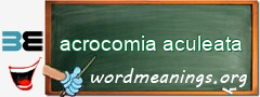 WordMeaning blackboard for acrocomia aculeata